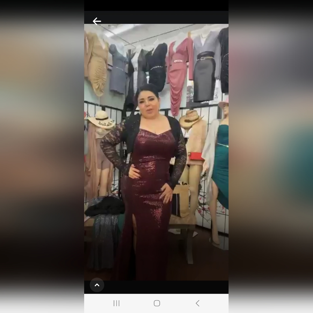 Burgandy & silver long gown